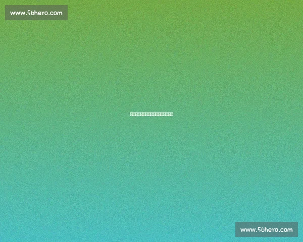 热血军魂！樊振东巴黎奥运夺冠全纪录